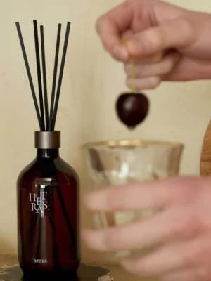 hetras 韓系擴香｜首席調香師擴香兩入組 500ml x2